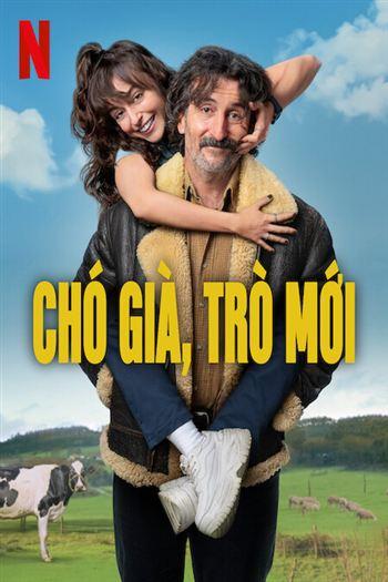 Chó Già Trò Mới