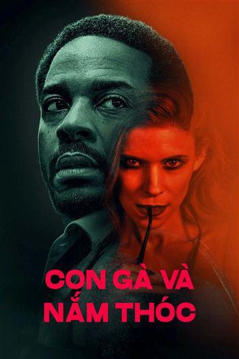 Con Gà Và Nắm Thóc
