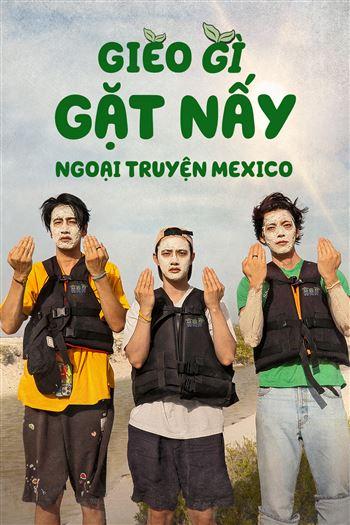 Gieo Gì Gặt Nấy Ngoại Truyện Mexico